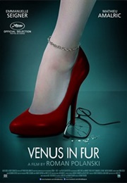 Venus in Furs (2013)