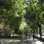 Paseo Del Prado  Madrid