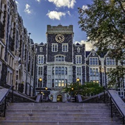 City College of New York