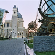 University of San Francisco