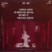 Party's Fall - Siouxsie & the Banshees