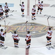 Indy Fuel