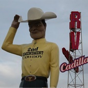 Second Amendment Cowboy