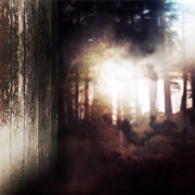 Kant Freud Kafka - Onírico