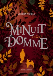 Minuit Sur Domme (Jérémy Angelo)