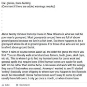 Lousiana Graverobber