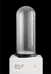 Notes From the Fog (Ben Marcus)