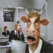 Cow File Advert 2