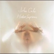 John Cale - Hobosapiens