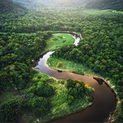 Explore the Amazon Rainforest