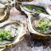Oysters