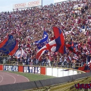 Forever Ultras Bologna