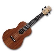 Learn to Play UKulele