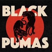 Black Pumas - Colors