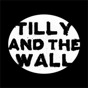 Alligator Skin - Tilly and the Wall