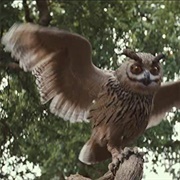 Christopher Robin - Dobby