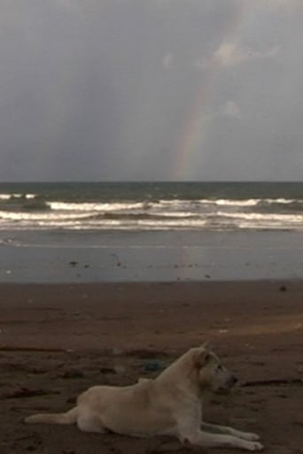 A Day on GOD Island (2005)