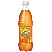 C Plus Orange Pop