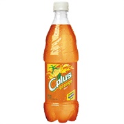 C Plus Orange Pop