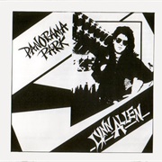 Lynn Allen – Panorama Park