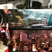 The Secret Chamber House of Oddities