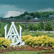 Alabama A&M University