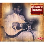 Elmore James the Final Sessions