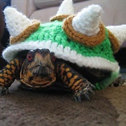 Box Turtle Costume
