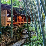 Hokoku-Ji Temple, Kamakura
