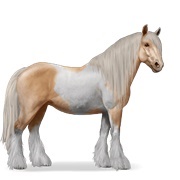 Palomino Tobiano
