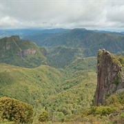 Coromandel Forest Park, New Zealand