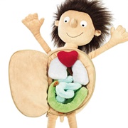 Erwin the Little Patient