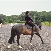 Oaklands Riding School