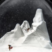 The Deceptive Snow Globe