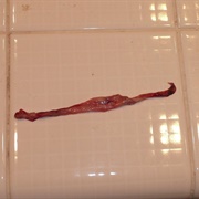 Vagina Bacon