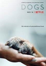 Dogs (2018)
