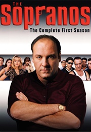 The Sopranos Season 1 (1999)