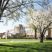 Villa Maria College
