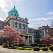 Immaculata University