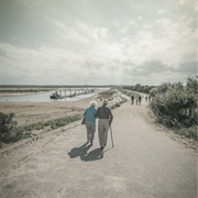 Celebrate Your 50th Anniversary