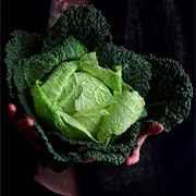 Ugly Green Cabbage