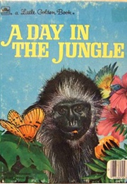 A Day in the Jungle (Patterson, Pat)