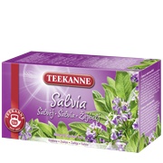 Teekanne Salvia Tea