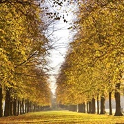 Marbury Country Park, Cheshire, England