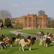 Holme Pierrepont Hall