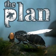 The Plan