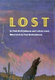 Lost (Paul Brett Johnson)