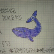 Blue Whale Challenge