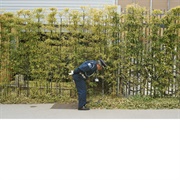 Gold Panda - Good Luck & Do Your Best