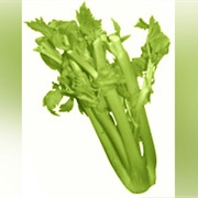 Ugly Celery